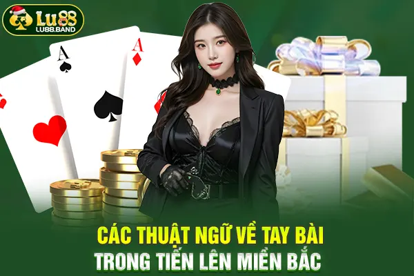 Các thuật ngữ về tay bài trong tiến lên miền Bắc